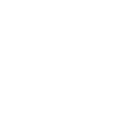 Comprehensive Inspections & Safety Checks